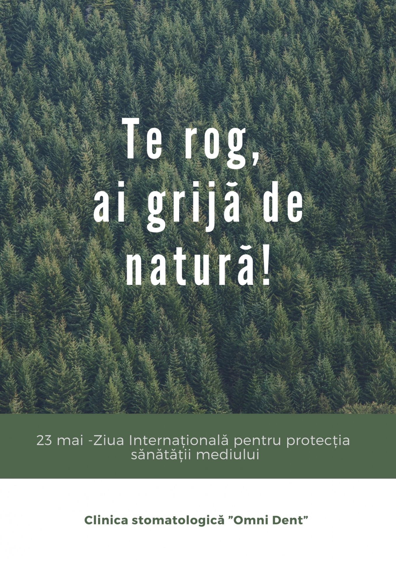 23 мая - Международный день экологии окружающей среды: положительное влияние пандемии COVID-19 на атмосферу